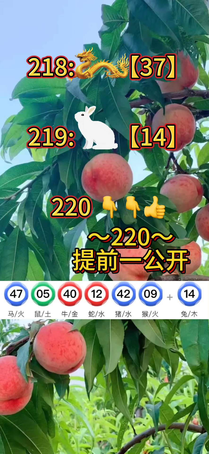正版资料免费大全精准搜索