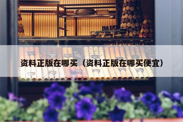 资料正版在哪买（资料正版在哪买便宜）