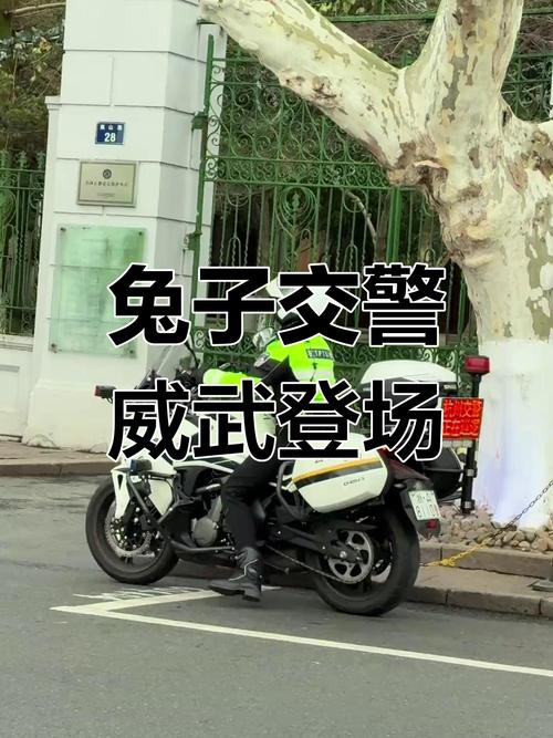 深圳兔子警官爆火,深圳兔子警官爆火事件