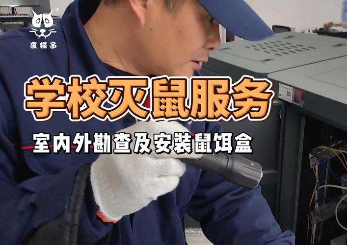拆快递拆出活老鼠,拆快递拆出活老鼠怎么处理