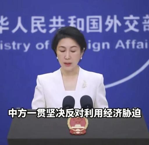外交部回应卖港口,