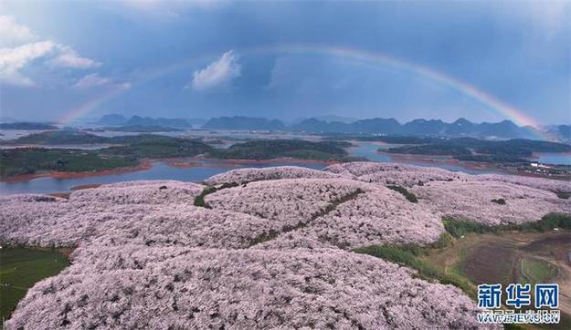 3万平方米彩虹花海,3万平方米彩虹花海多少钱
