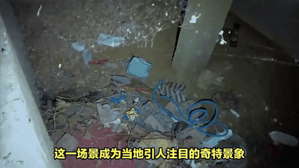 辽宁一饭店火灾22死,辽宁饭店发生爆炸