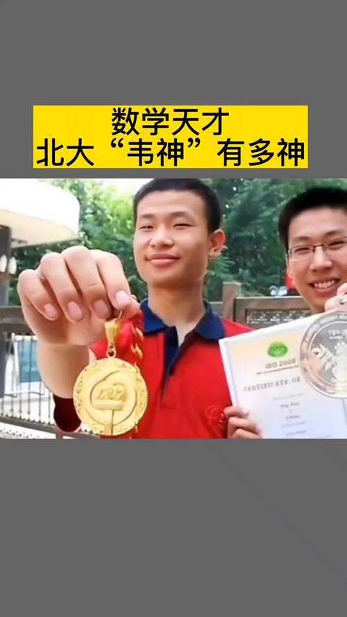 admin 第95页